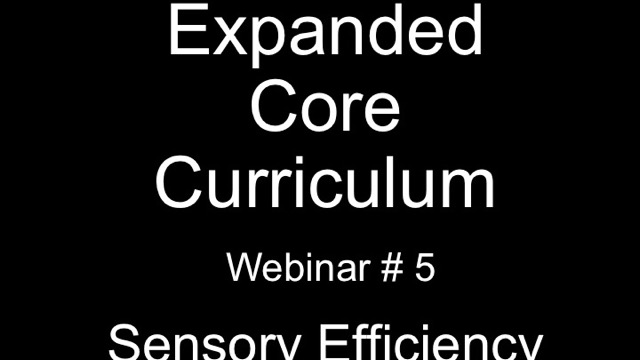 The ECC: #5 Sensory Efficiency